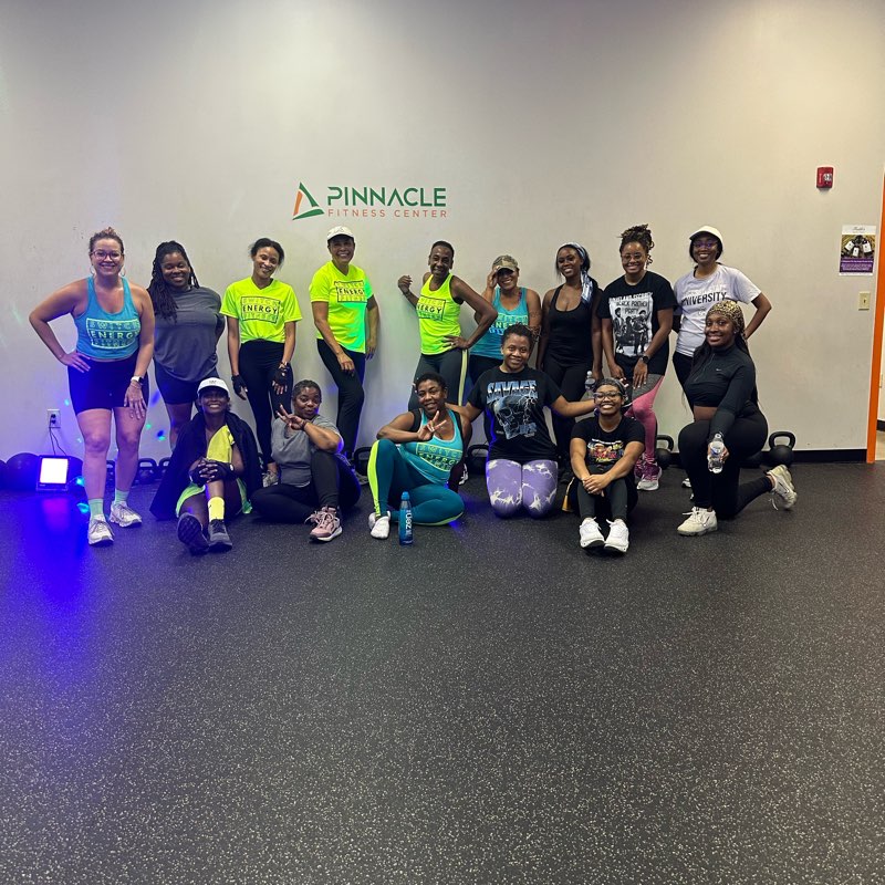 Switch Energy Fitness Steppers