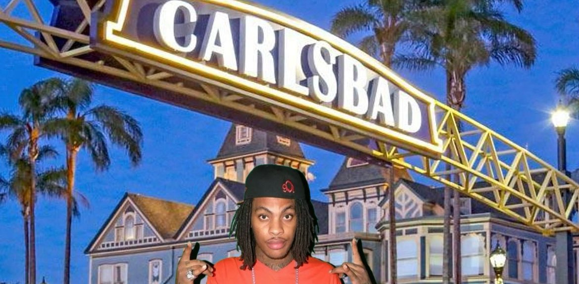 CARLSBAD WALK-A-FLOCKA-THON banner