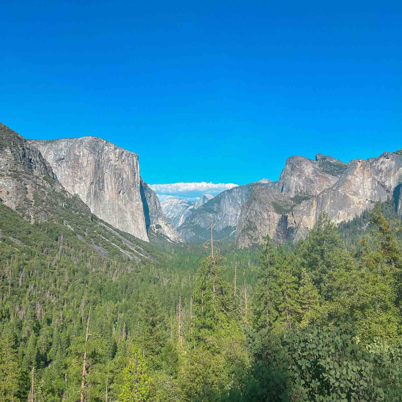 walk it like i talk it logo