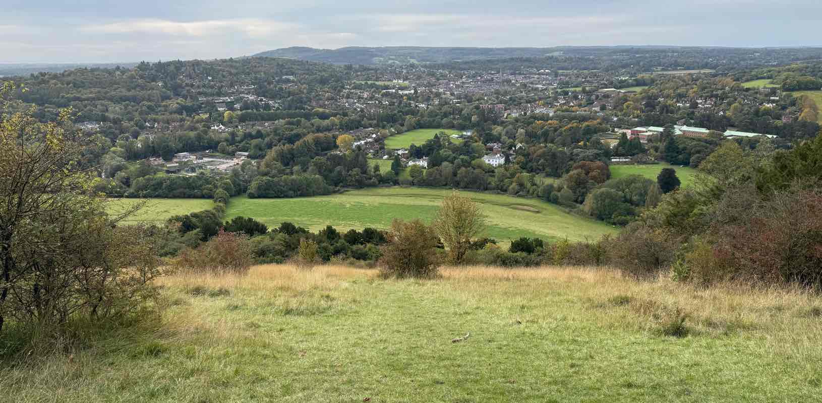 The present lot banner