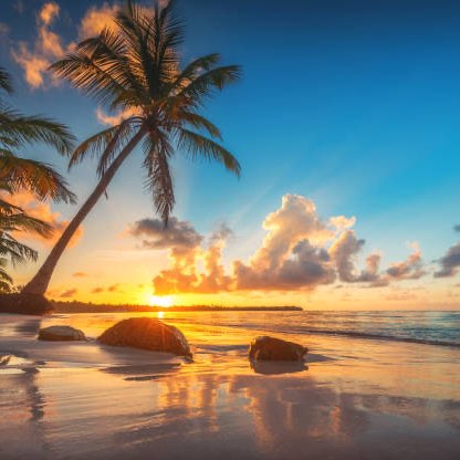 daily steps and cardio logo