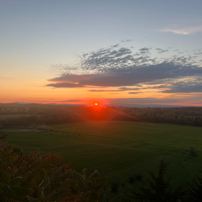 NPD Central Team logo