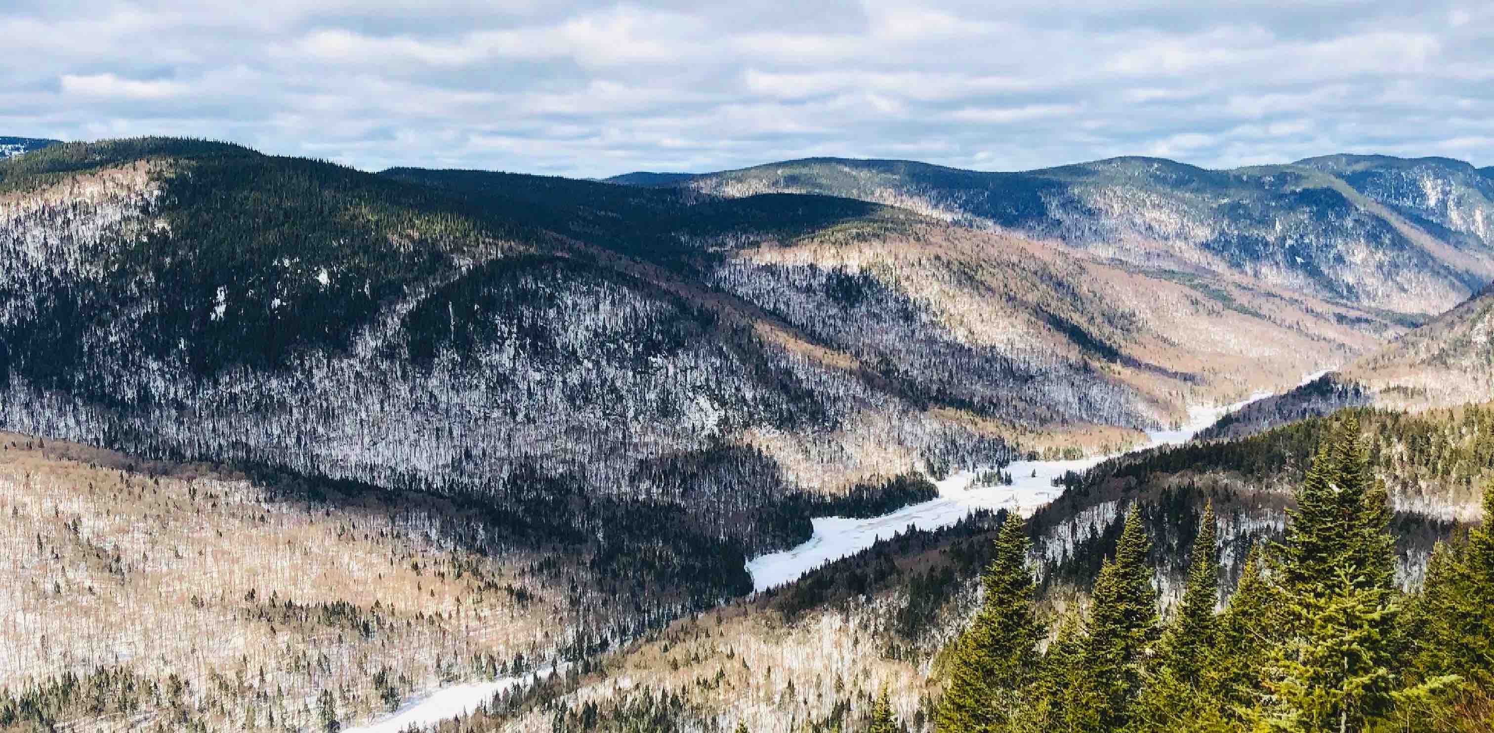 Les marcheurs du Québec banner