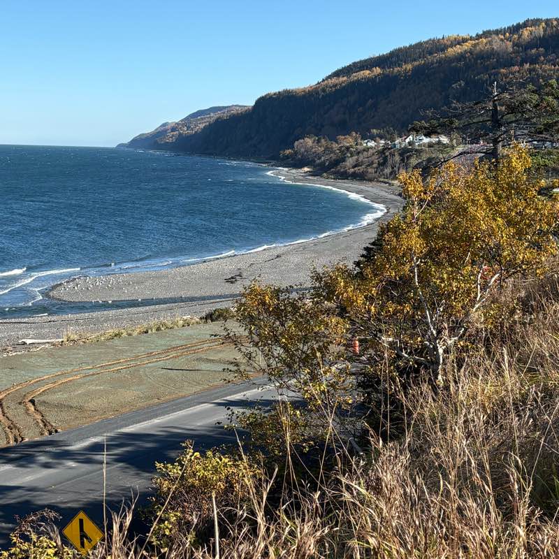 Les marcheurs du Québec logo