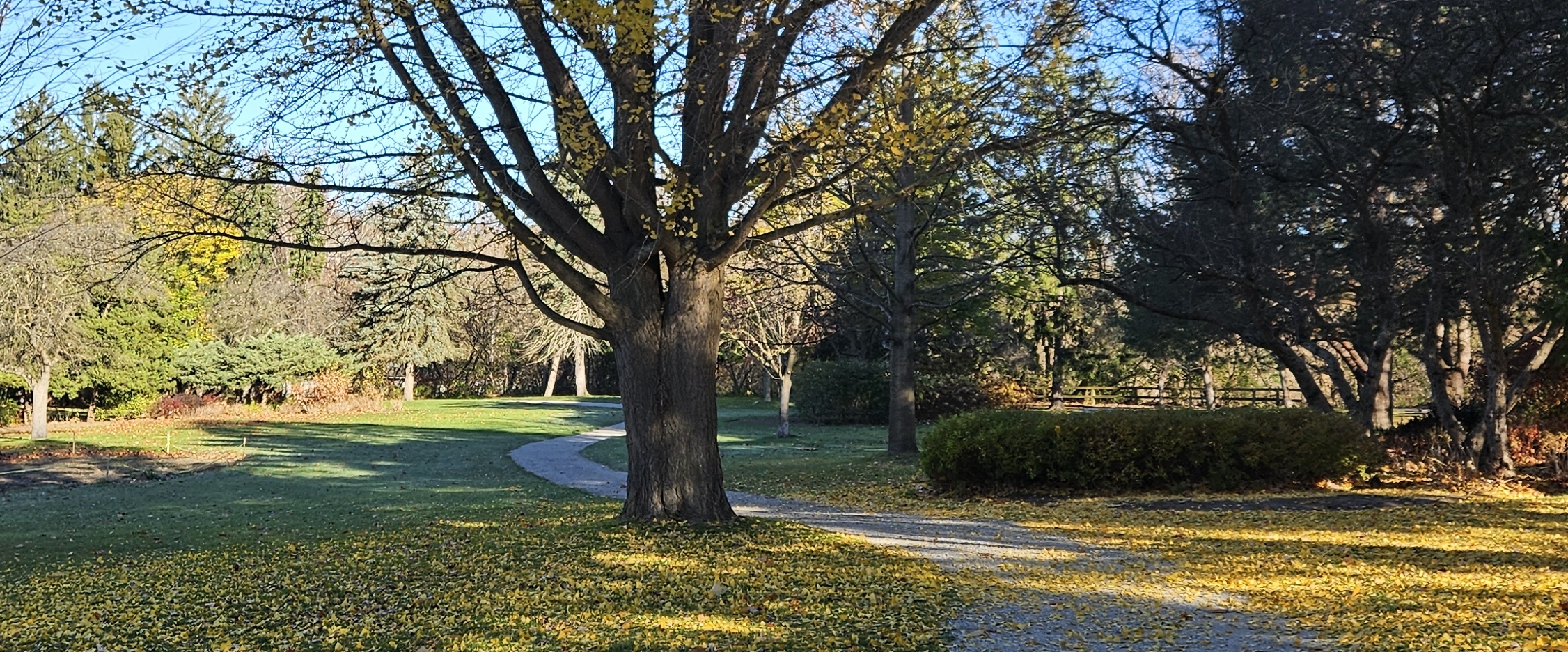 🥰 WalkWarriors🥰 banner