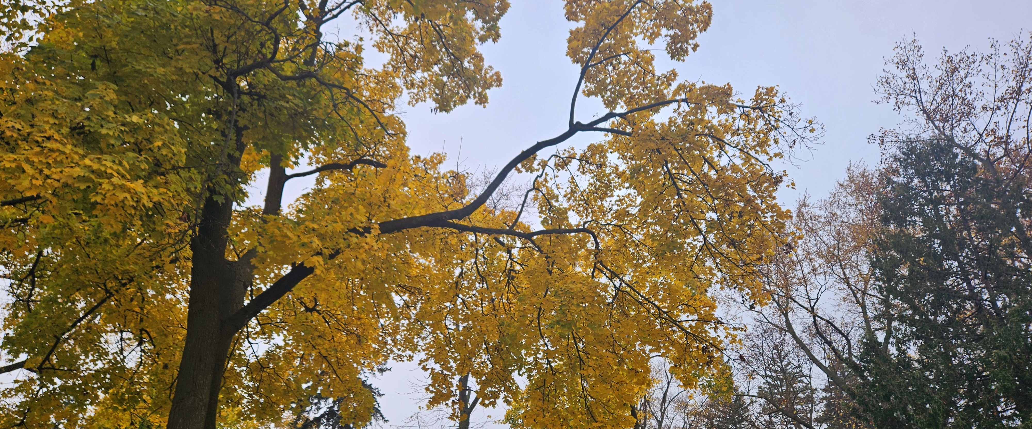 💺OFF THE CHAIR💺 banner