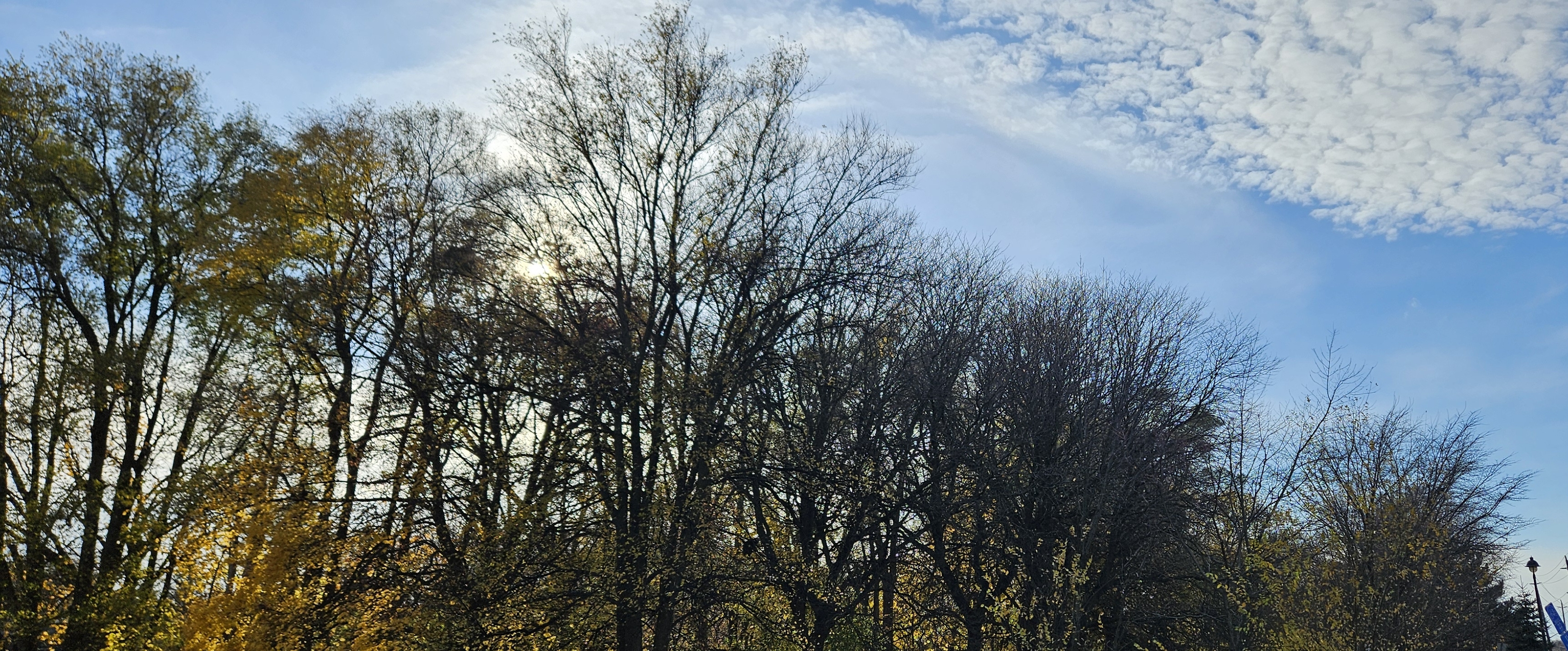 StarMarket шагает banner