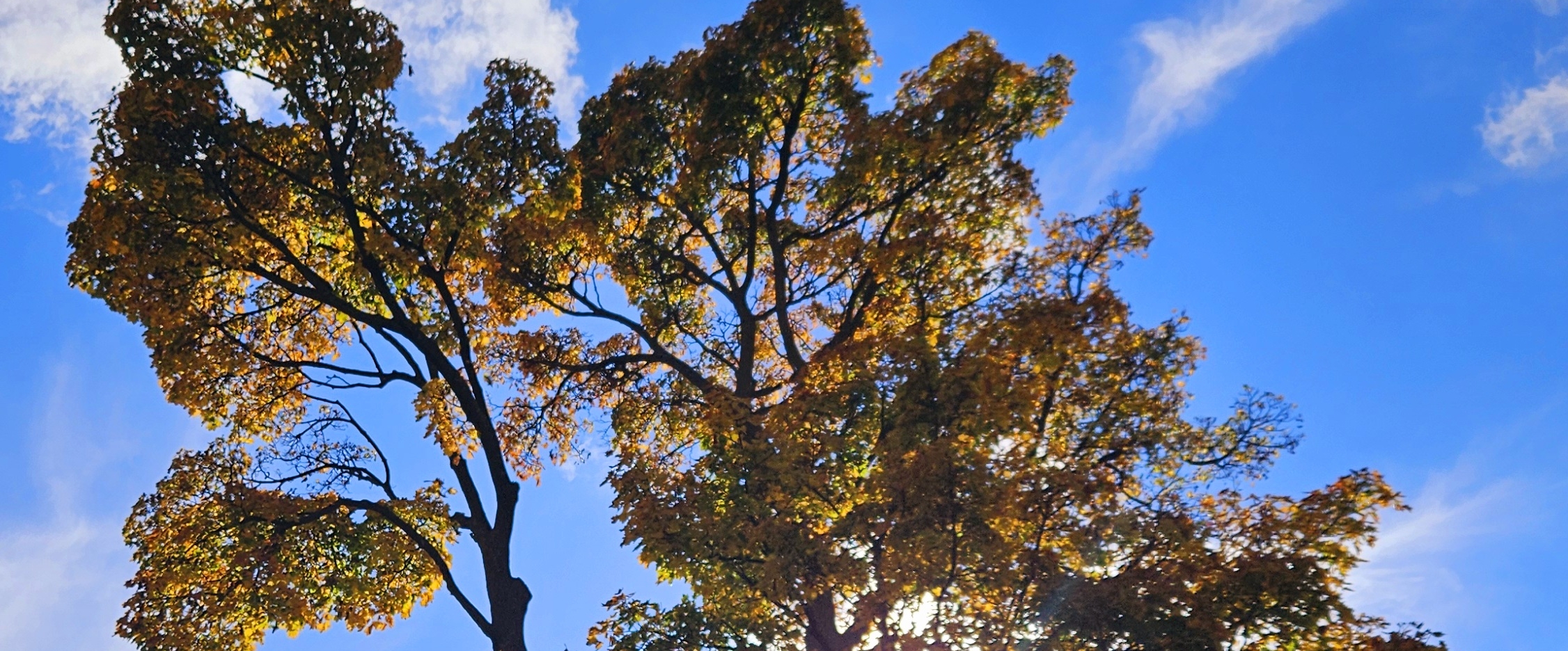 ๐FABULOUS WALKERS๐ banner