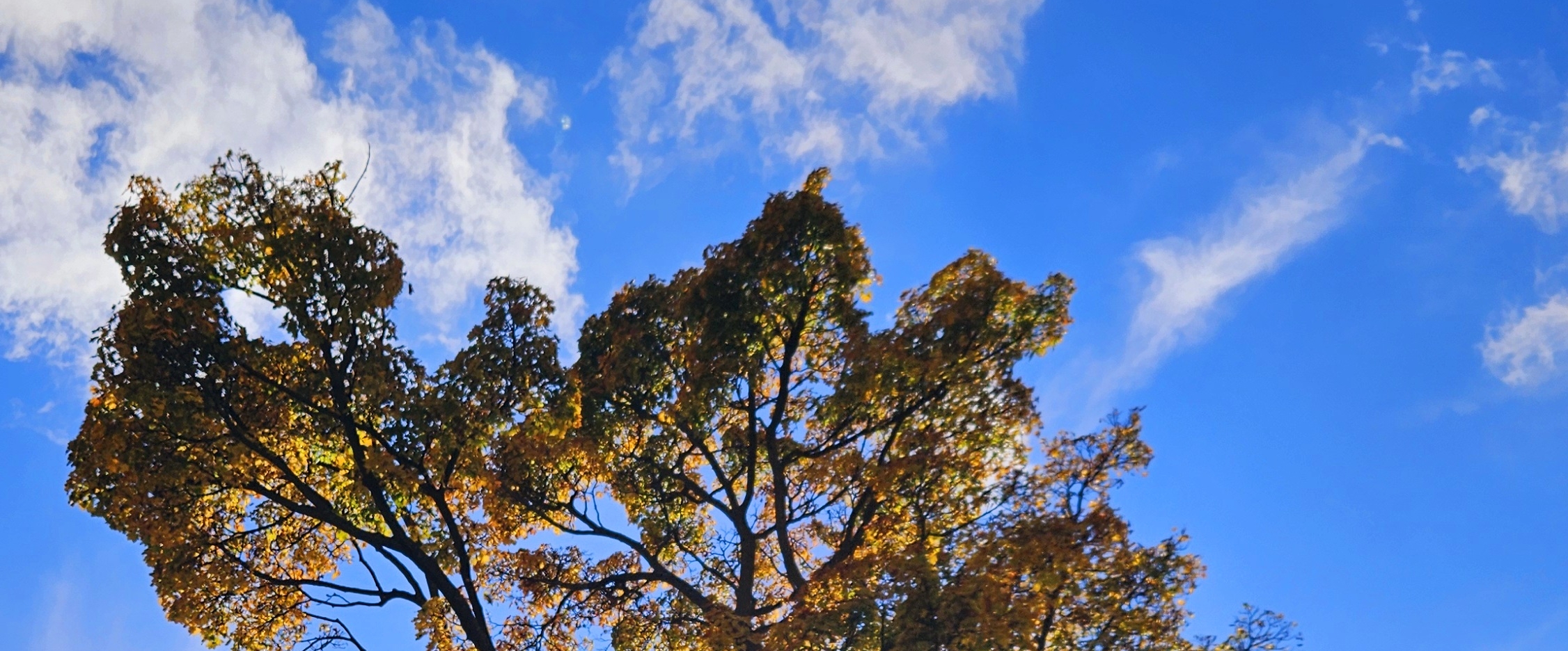 👟TEHRAN RUNNERS👟 banner
