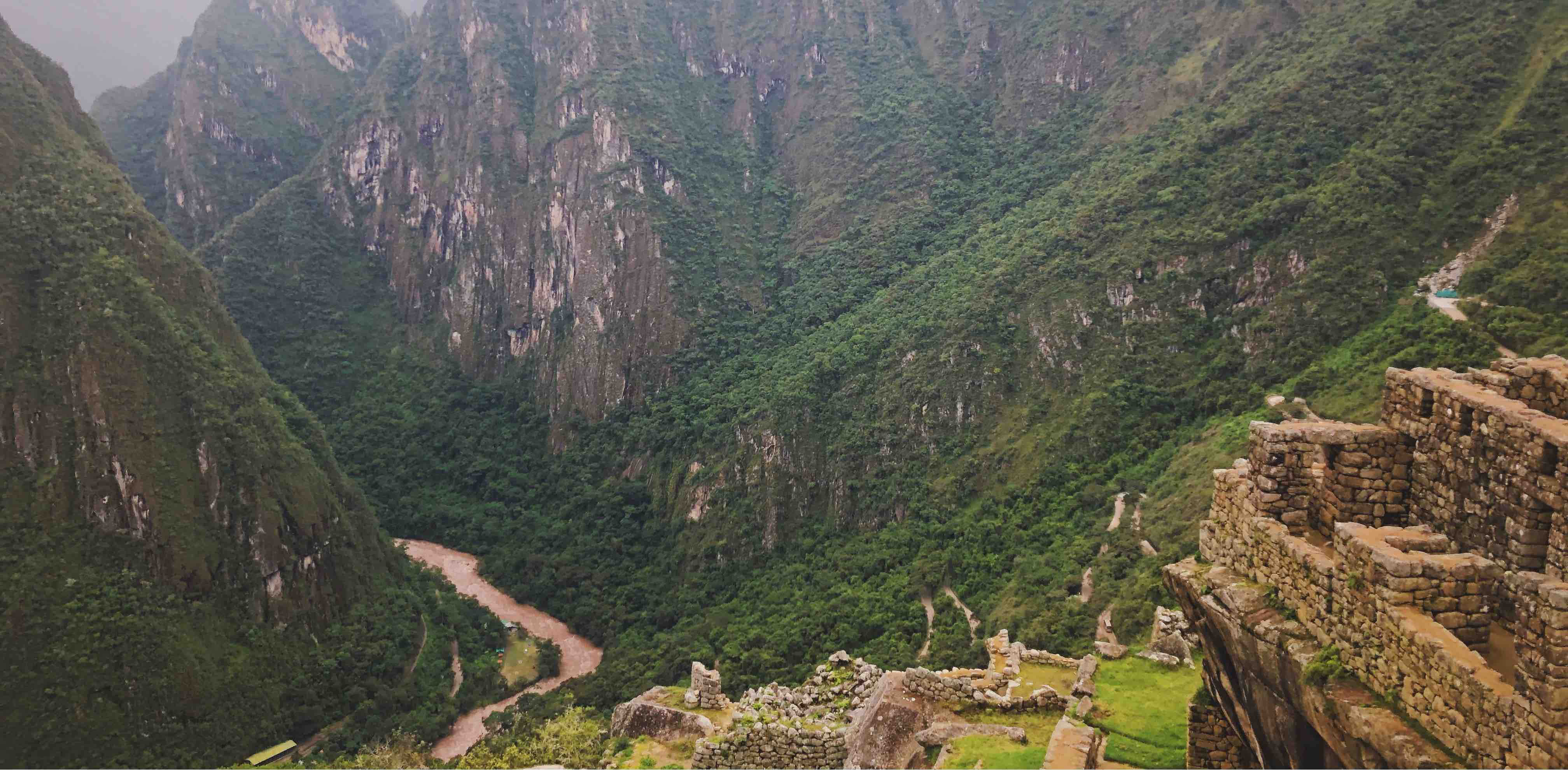 Camp Cozy Social 🏕️ banner