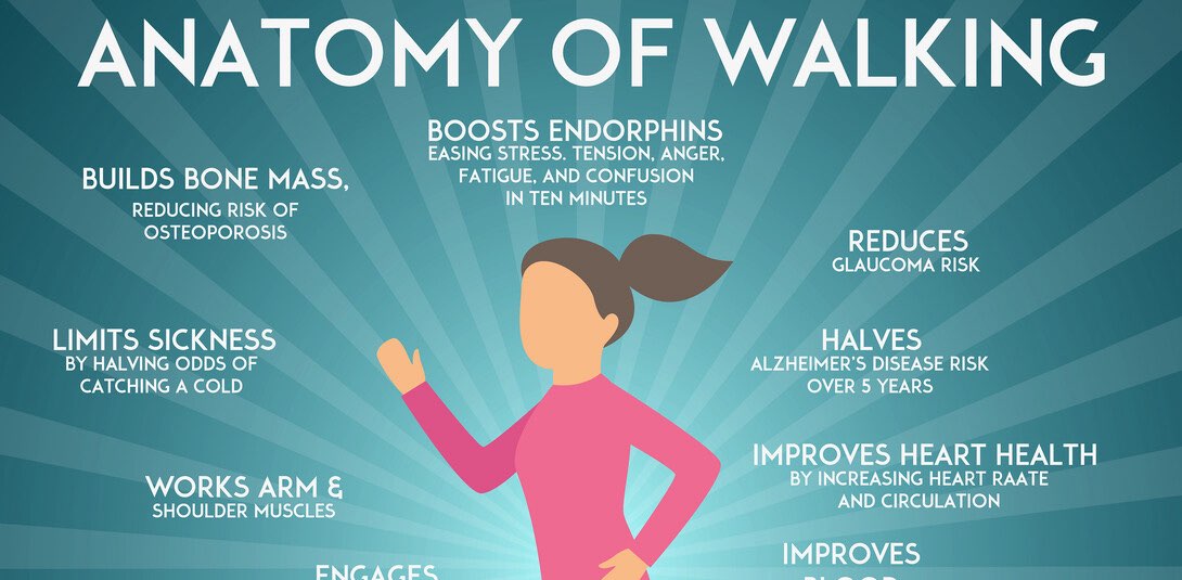 Wellness Walkers Network banner