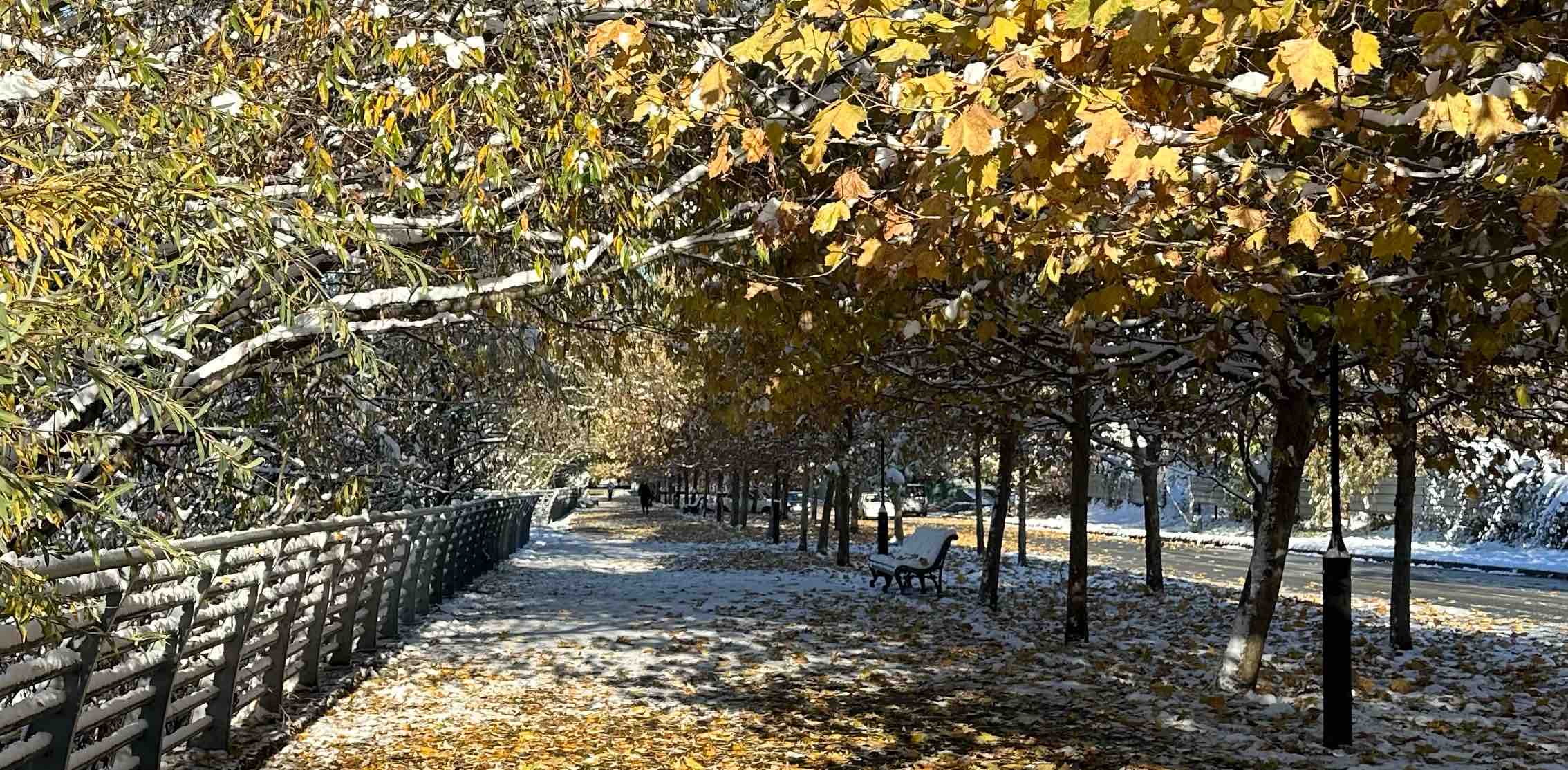 Марафон ходьбы 9 дней banner