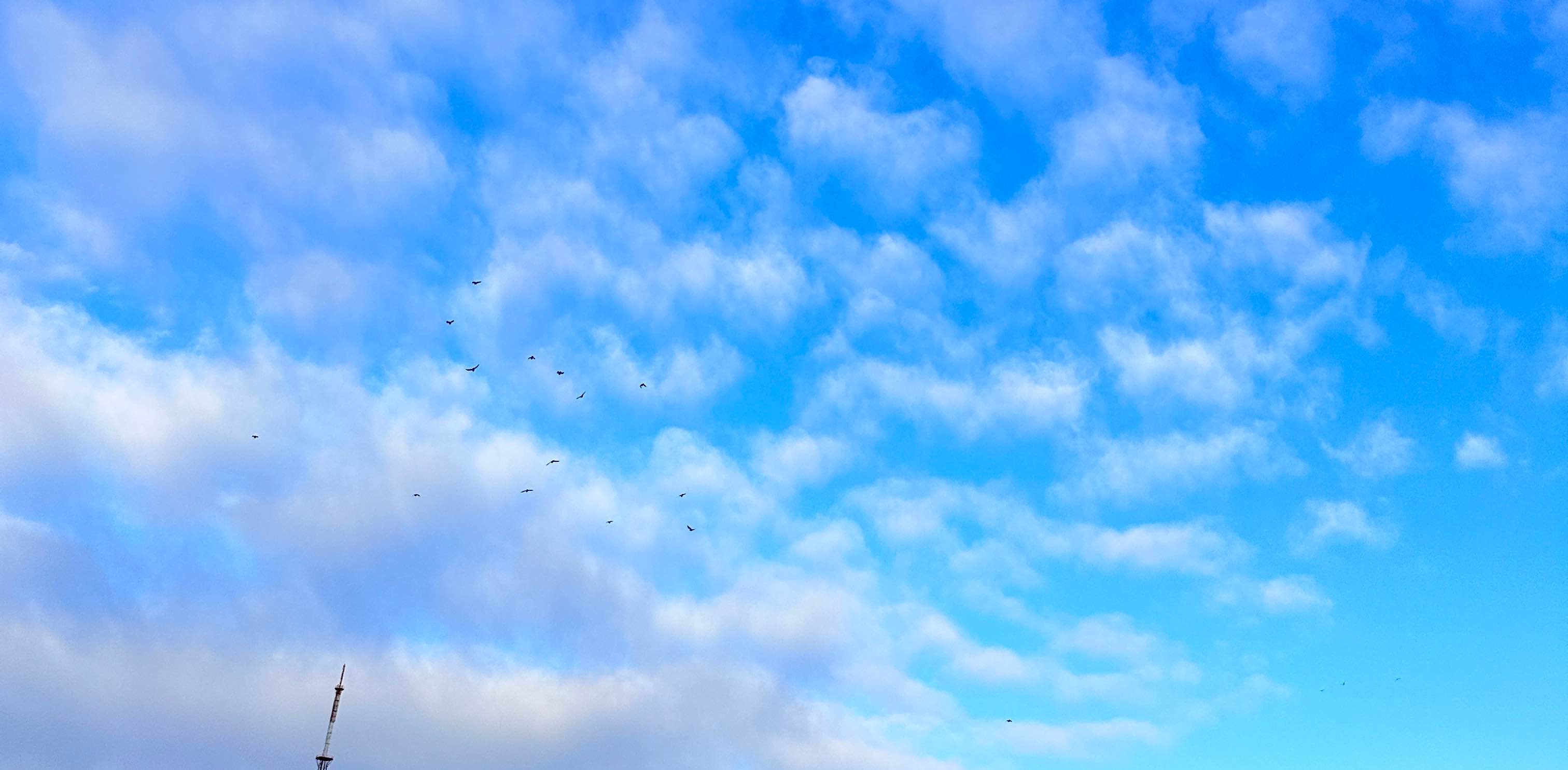 Даму жолы banner