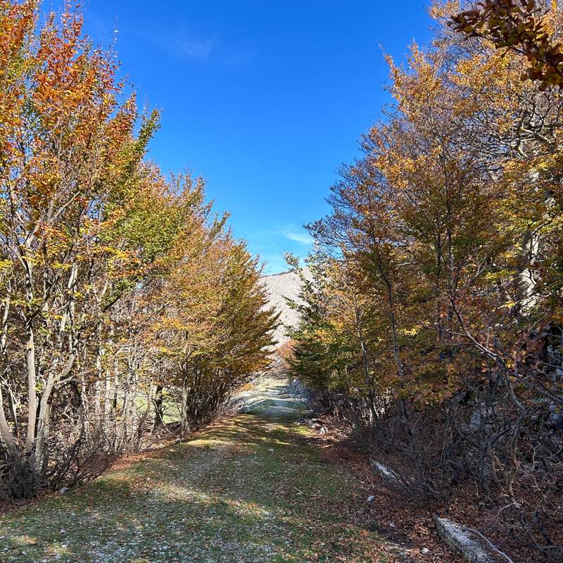 camminare per dimagrire logo