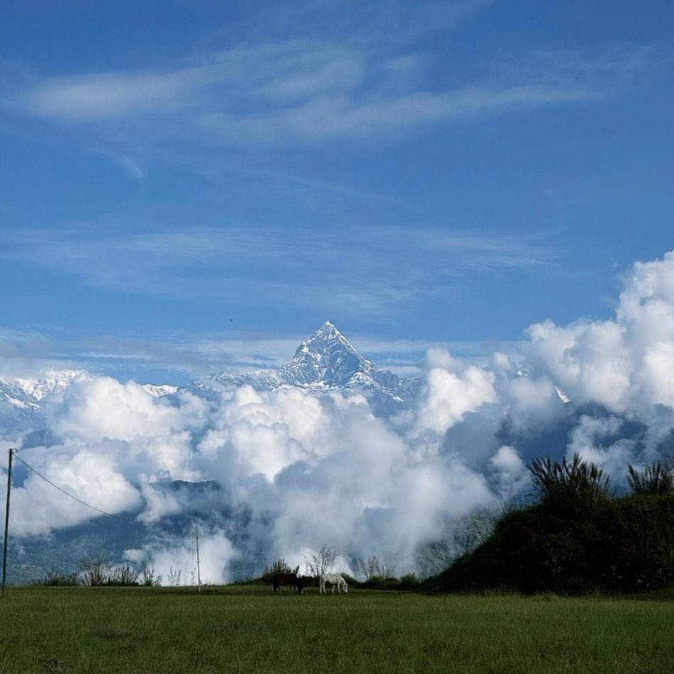 Let’s walk Nepal logo