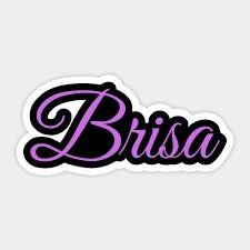 Brisa Club🌬️✨ logo
