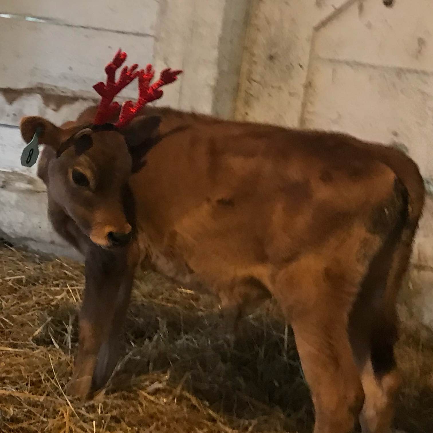 The PA run group logo