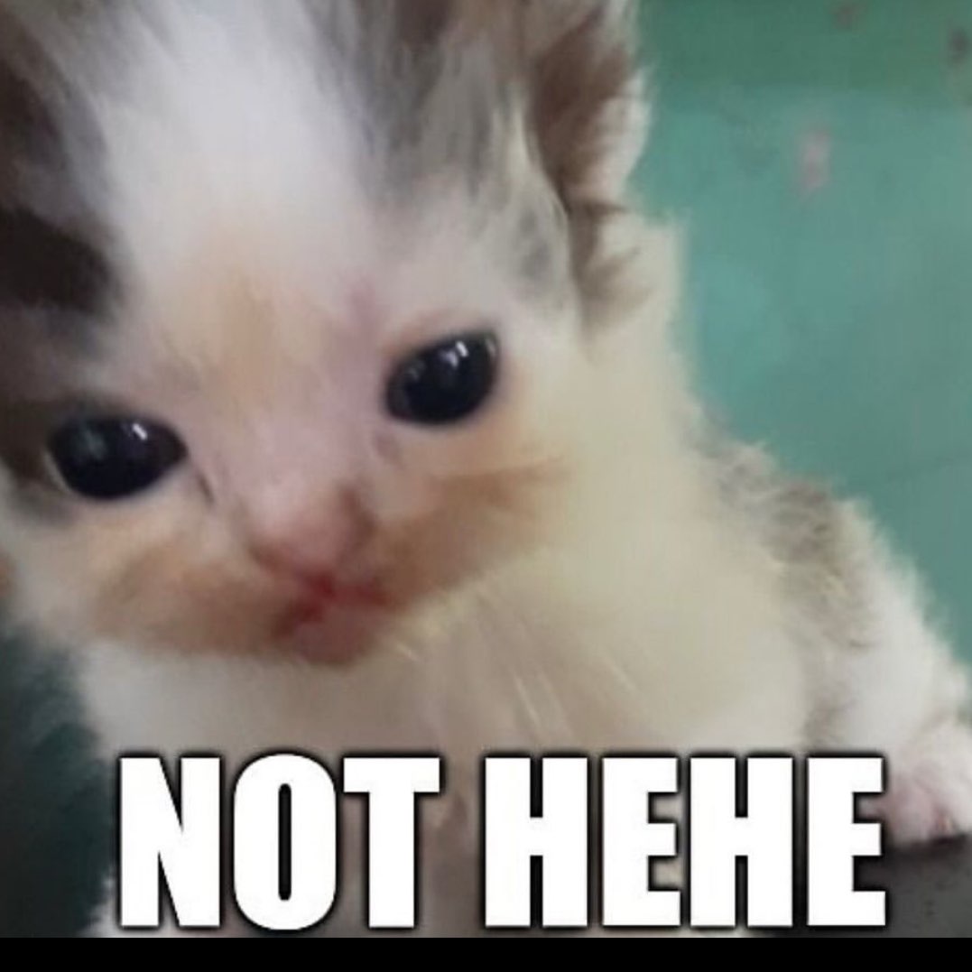 Move it bitches  logo