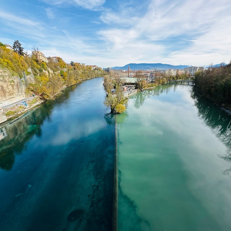 Walking  Buddies logo