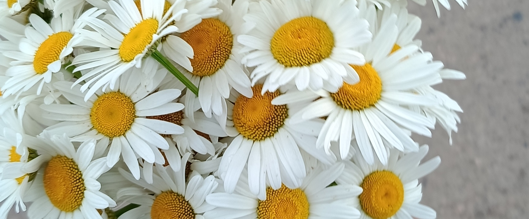 ИКТ-103Бз banner