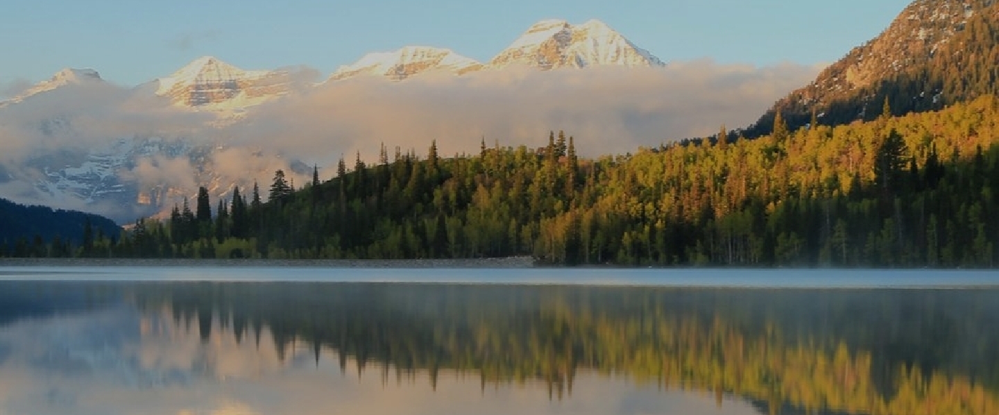 Желающие жить здоровыми banner