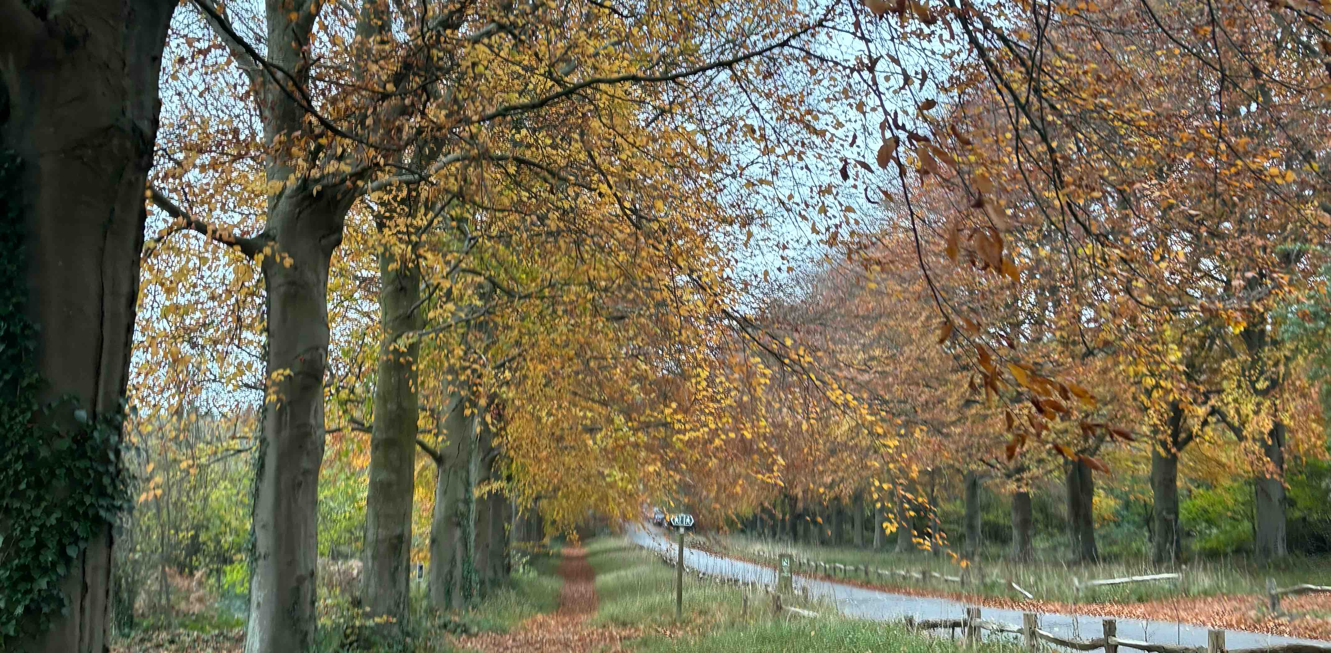 The Port on the Square banner