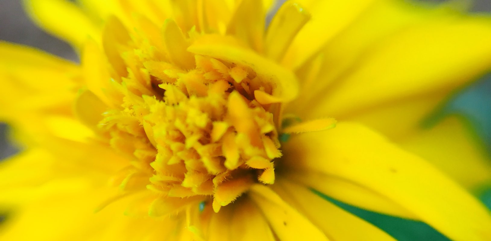 EDAPPALAYAM AHU banner