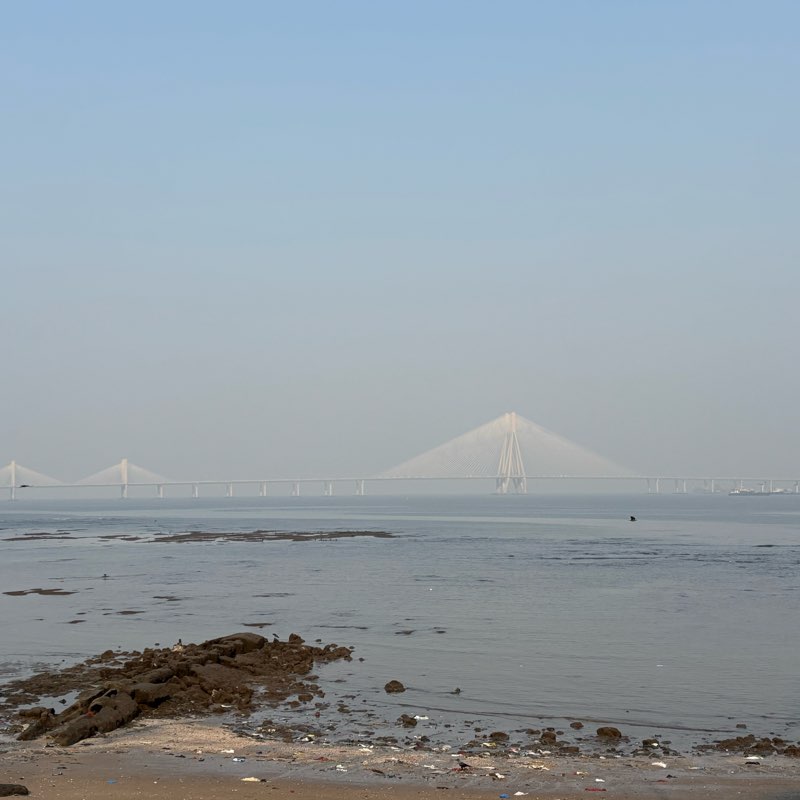 5k Daily Steps Club logo