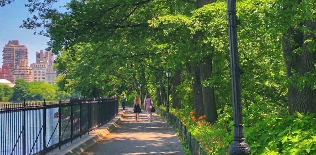 Hannah and Nika’s adventures banner