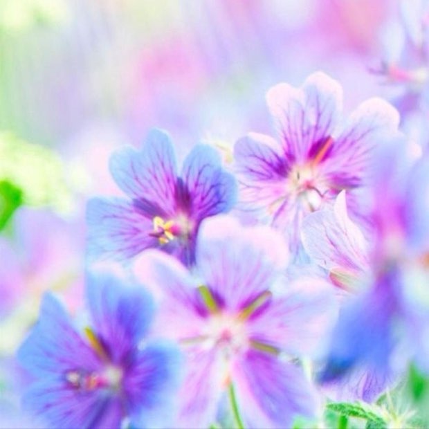 غرفتنا 🩵 logo