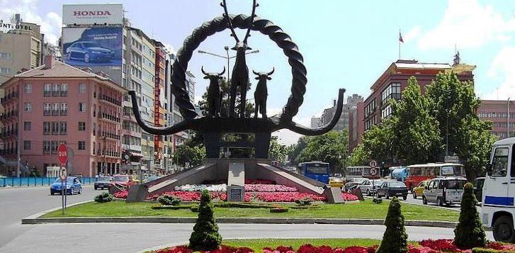 Ankara Walker Volunteers banner