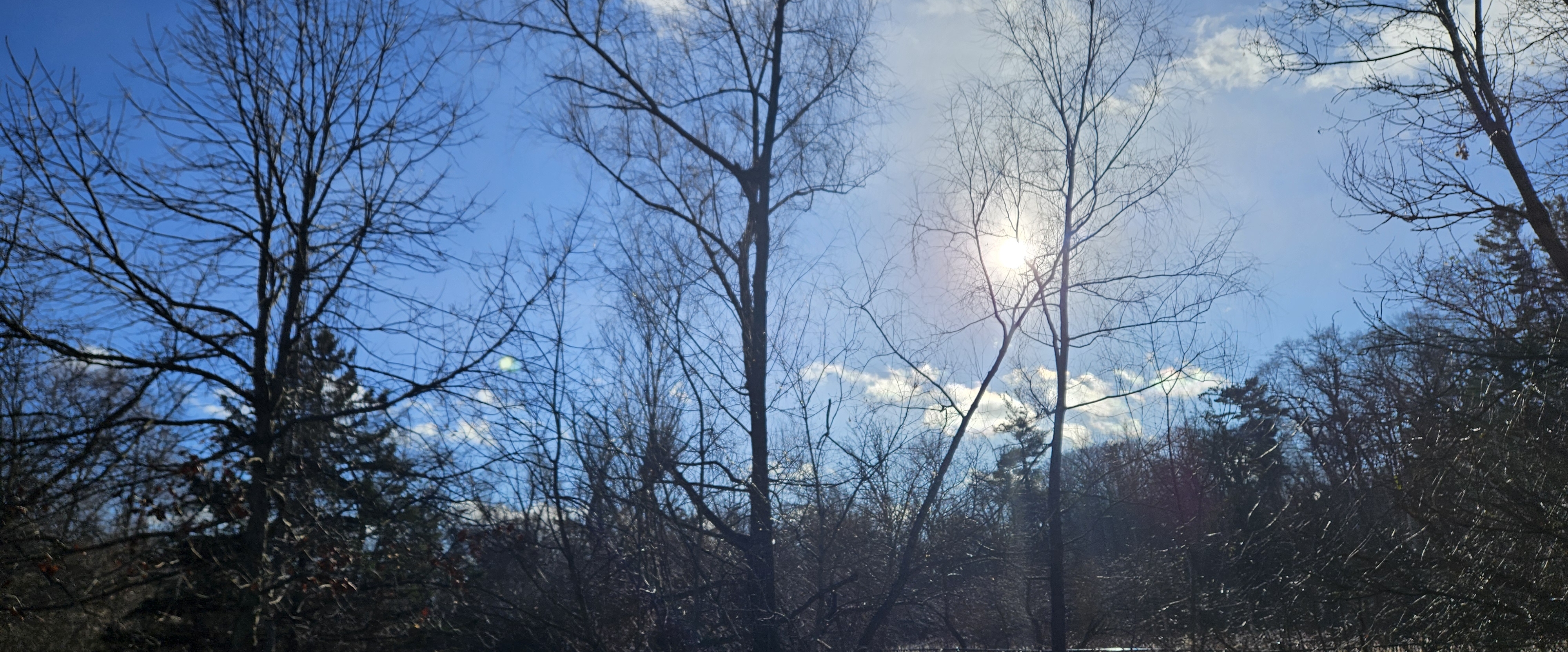 ИНГОшаги banner