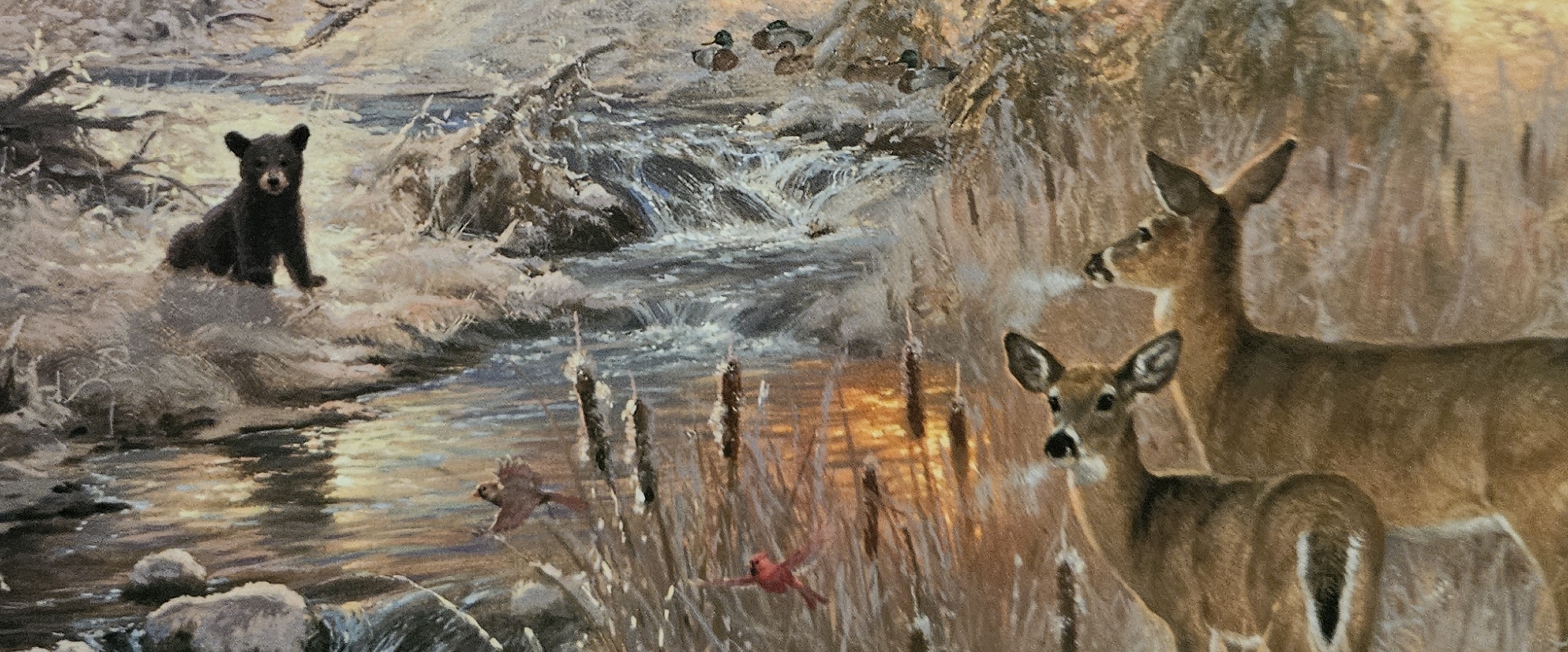 ❤️WALKATHON TOGETHER❤️ banner