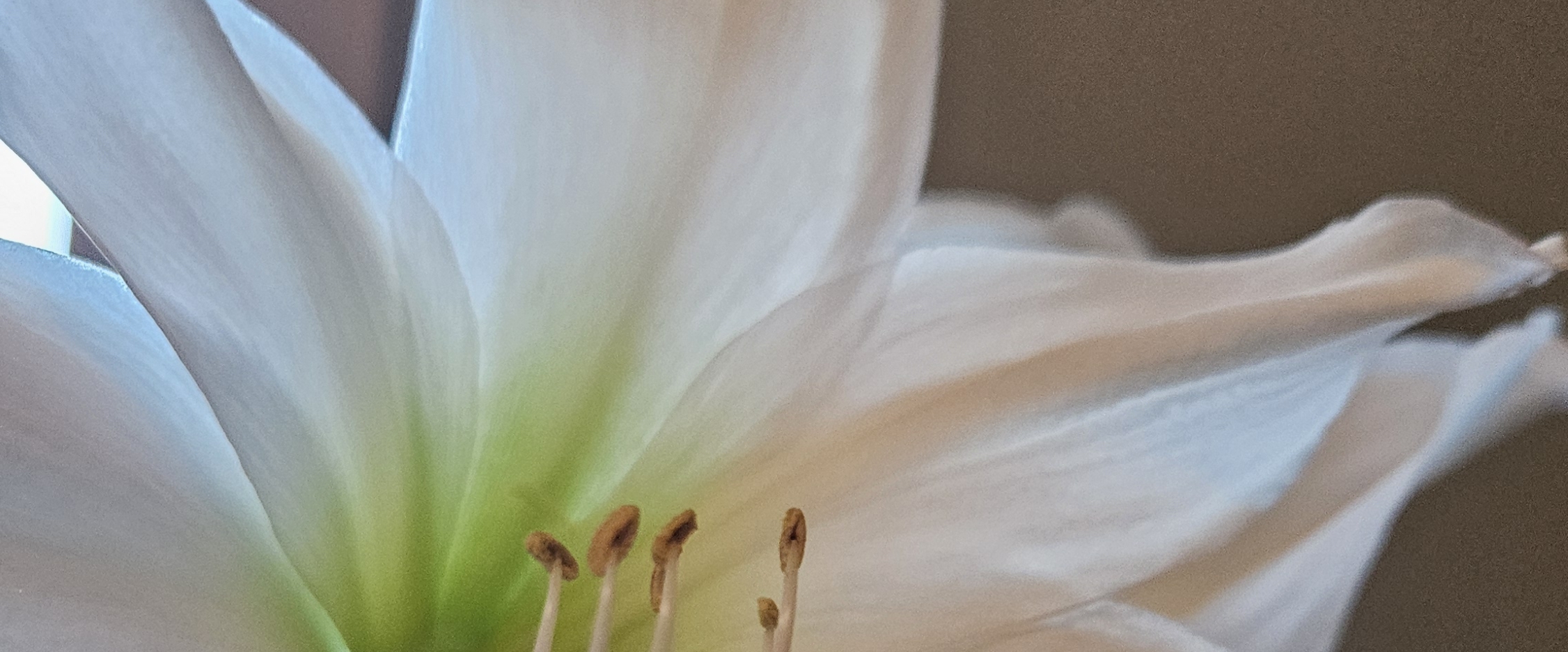 🎉NEW YEAR  NEW ADVENTURES 🎉 banner