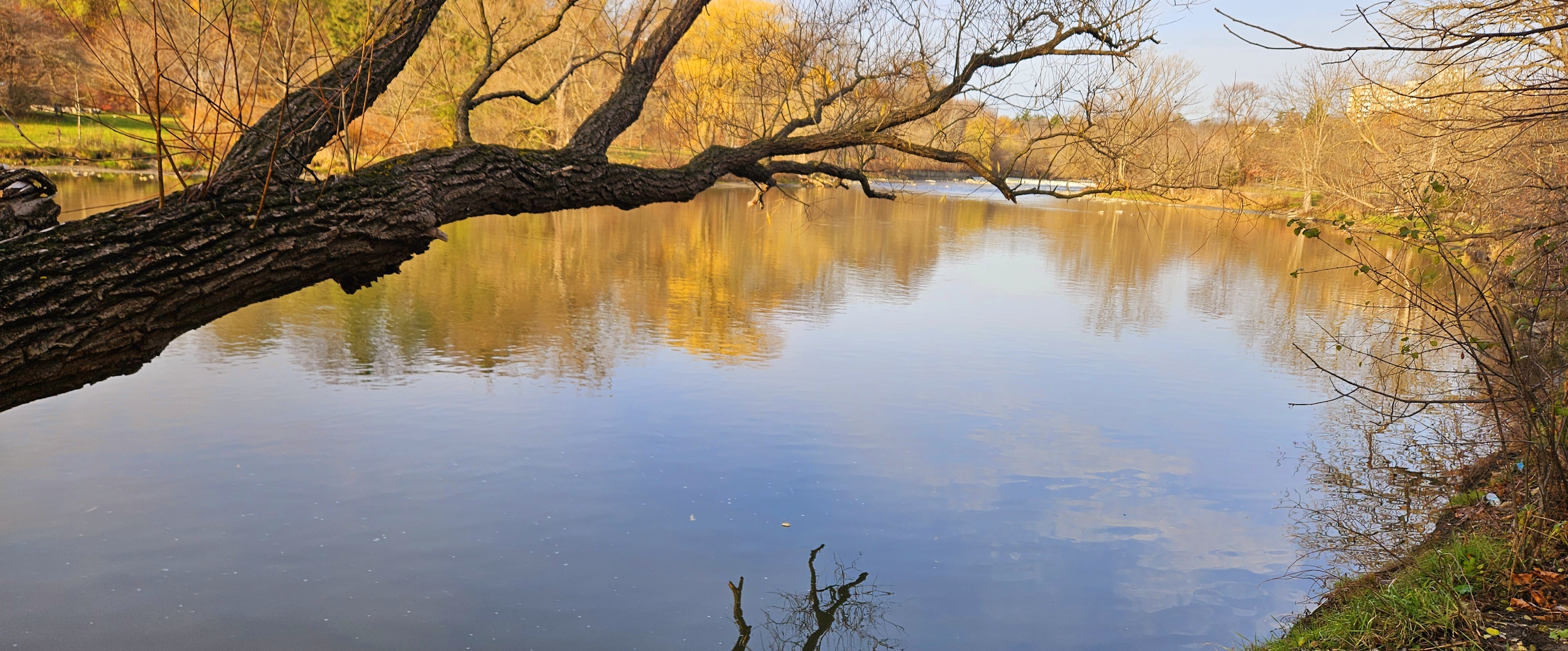 🎄WINTER WALKS🎄 banner