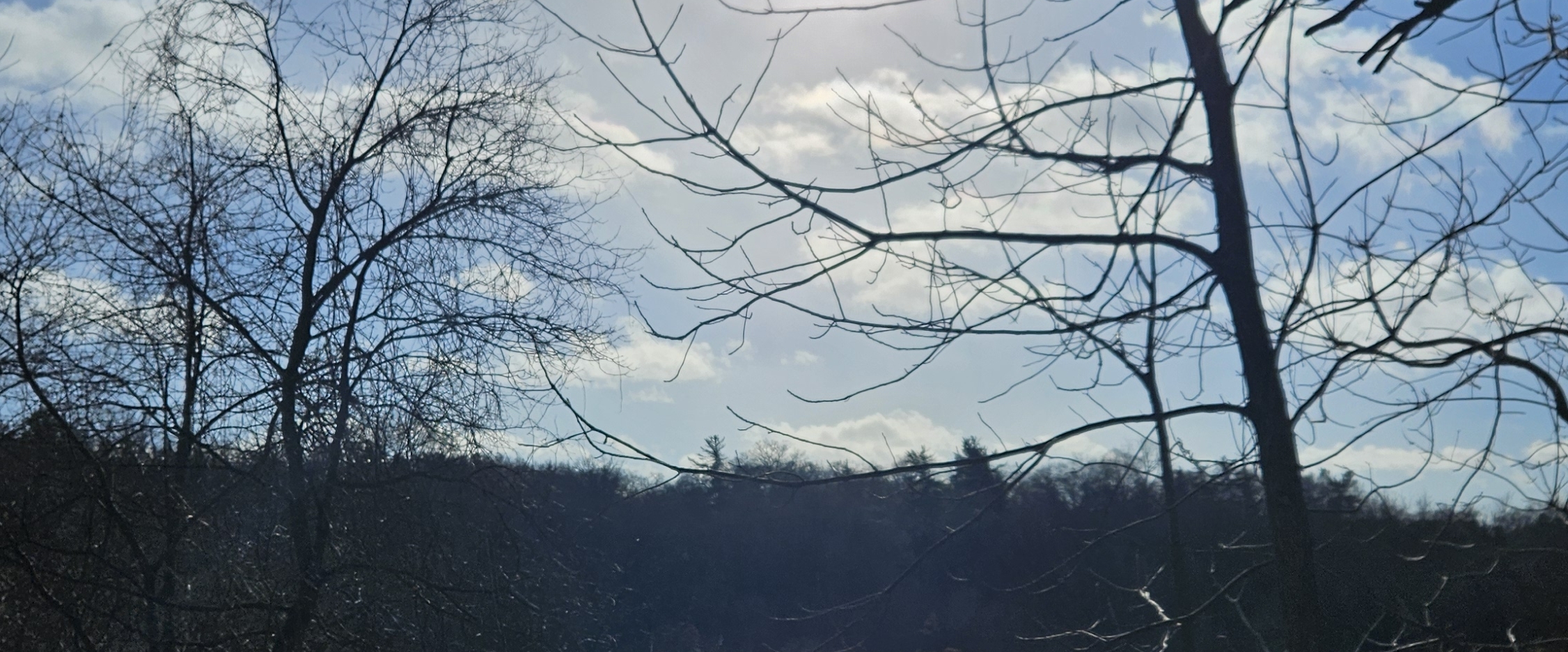 تحدي 8000 خطوة | سلطنة عمان 🇴🇲 banner