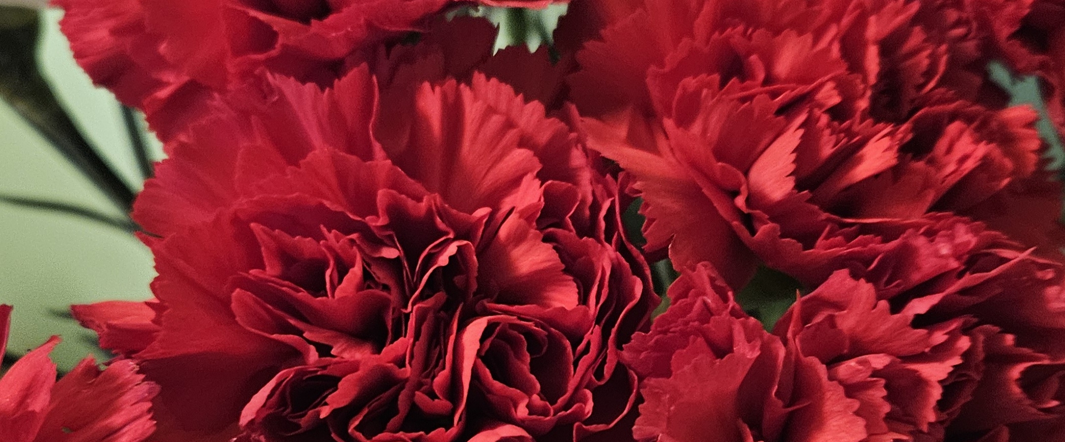 🎉HAPPY 2026🎉 banner