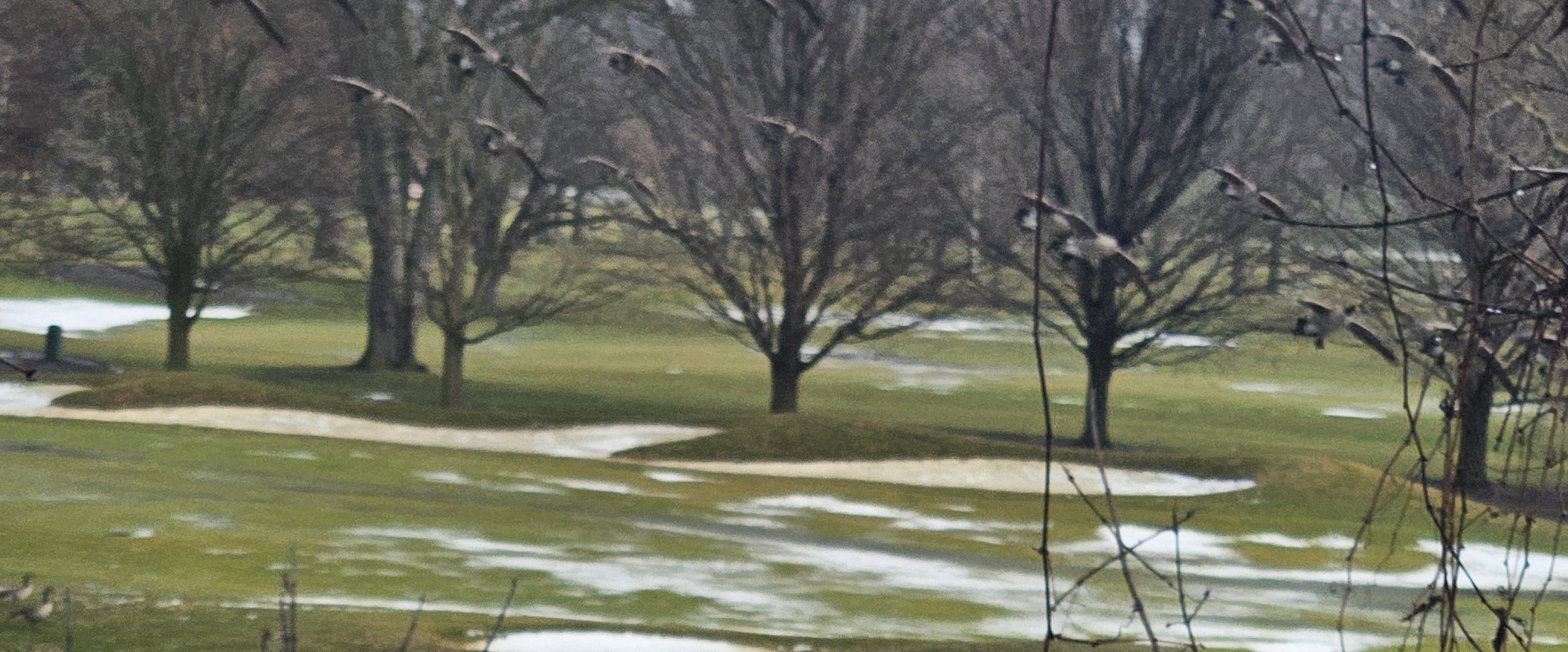 🎉💗Pace Makers 💗🎉 banner