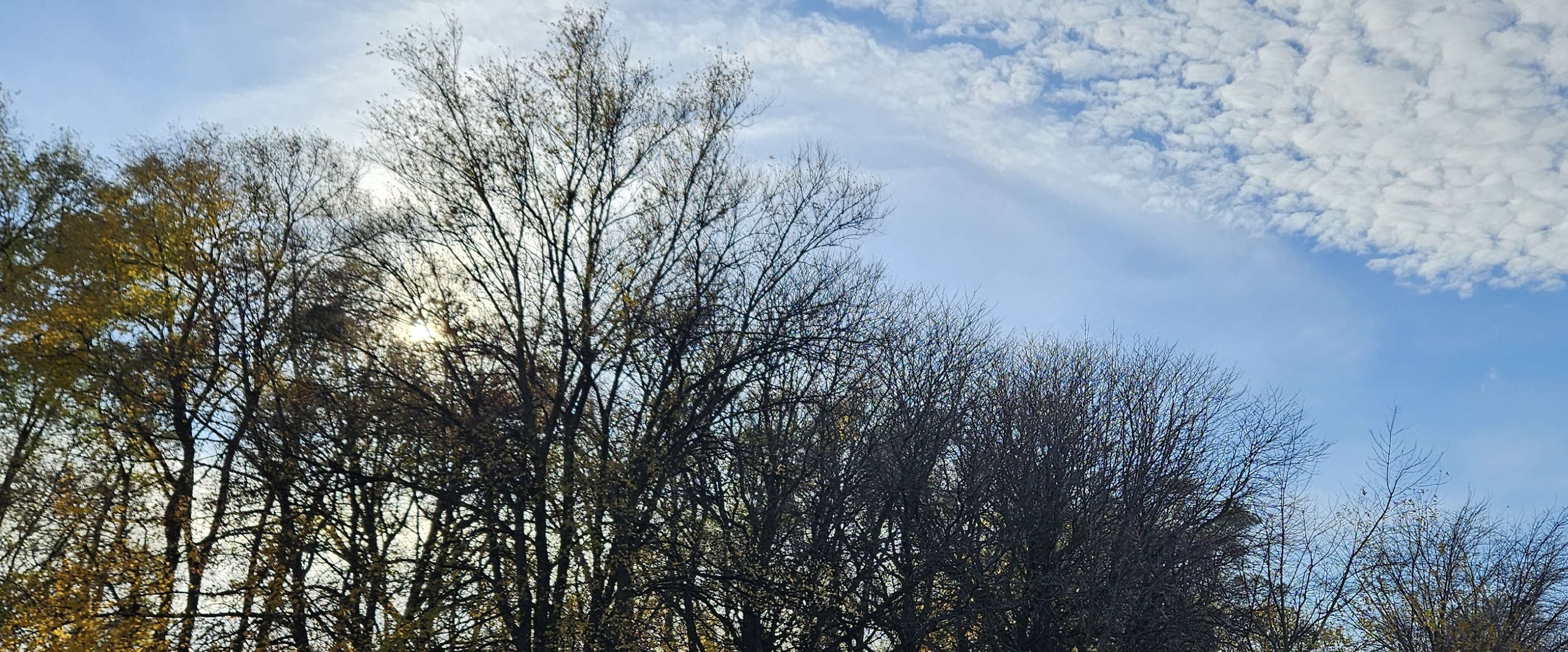 🌿5 K TEAM🌿 banner