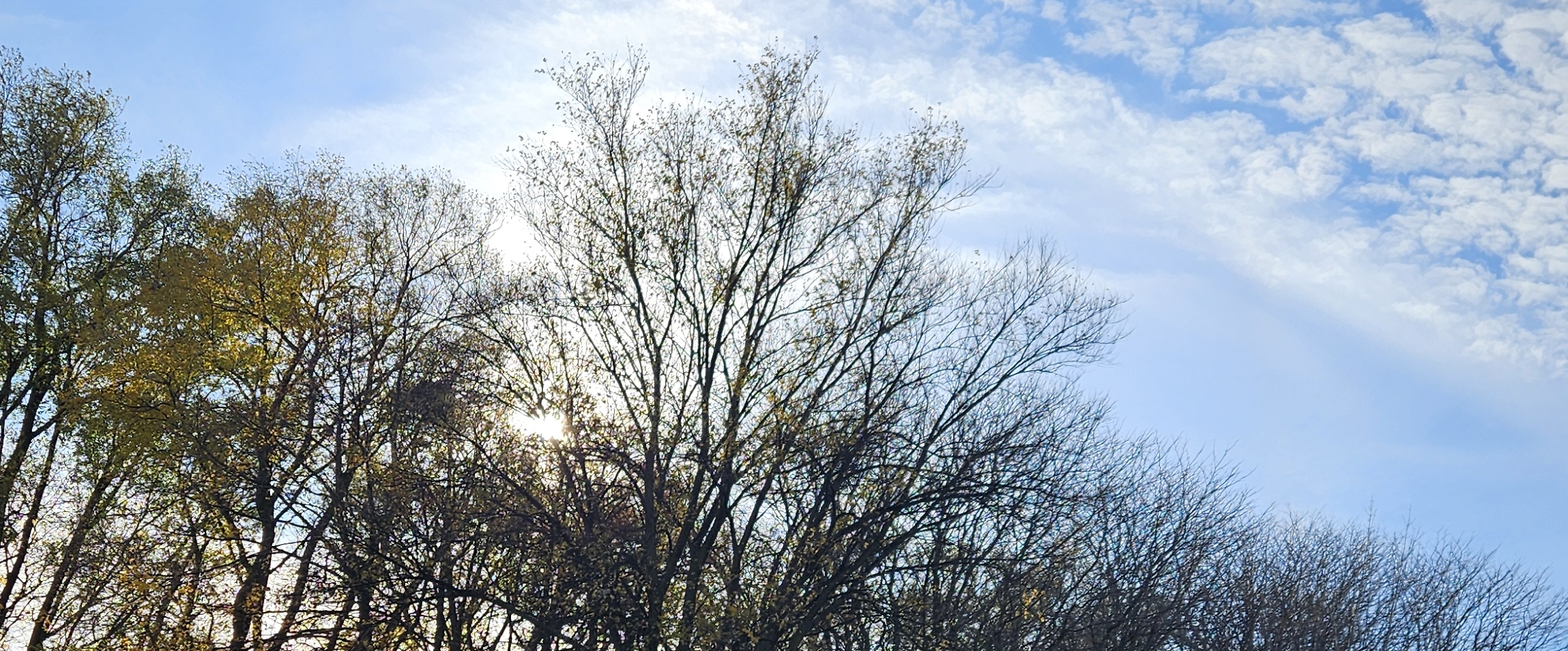 The FORTH Walking Club banner