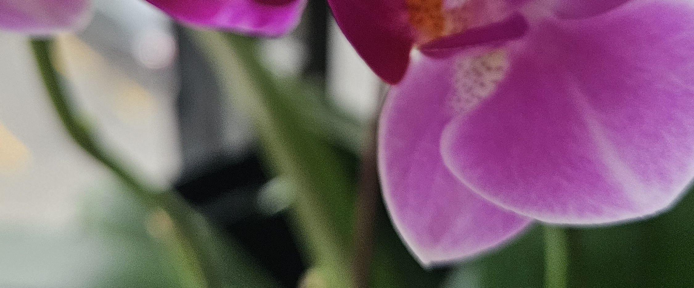 😍STEPPING OUT😍 banner