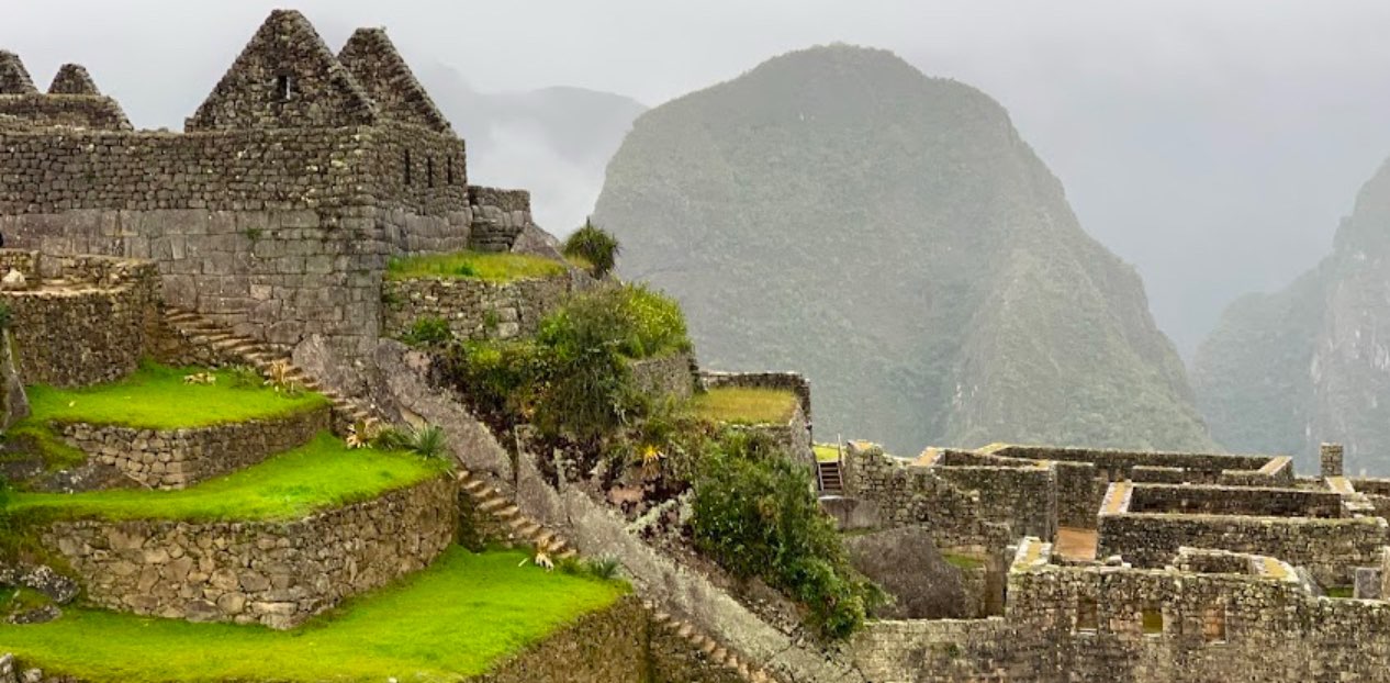 Happy Feet 10K Walkers banner