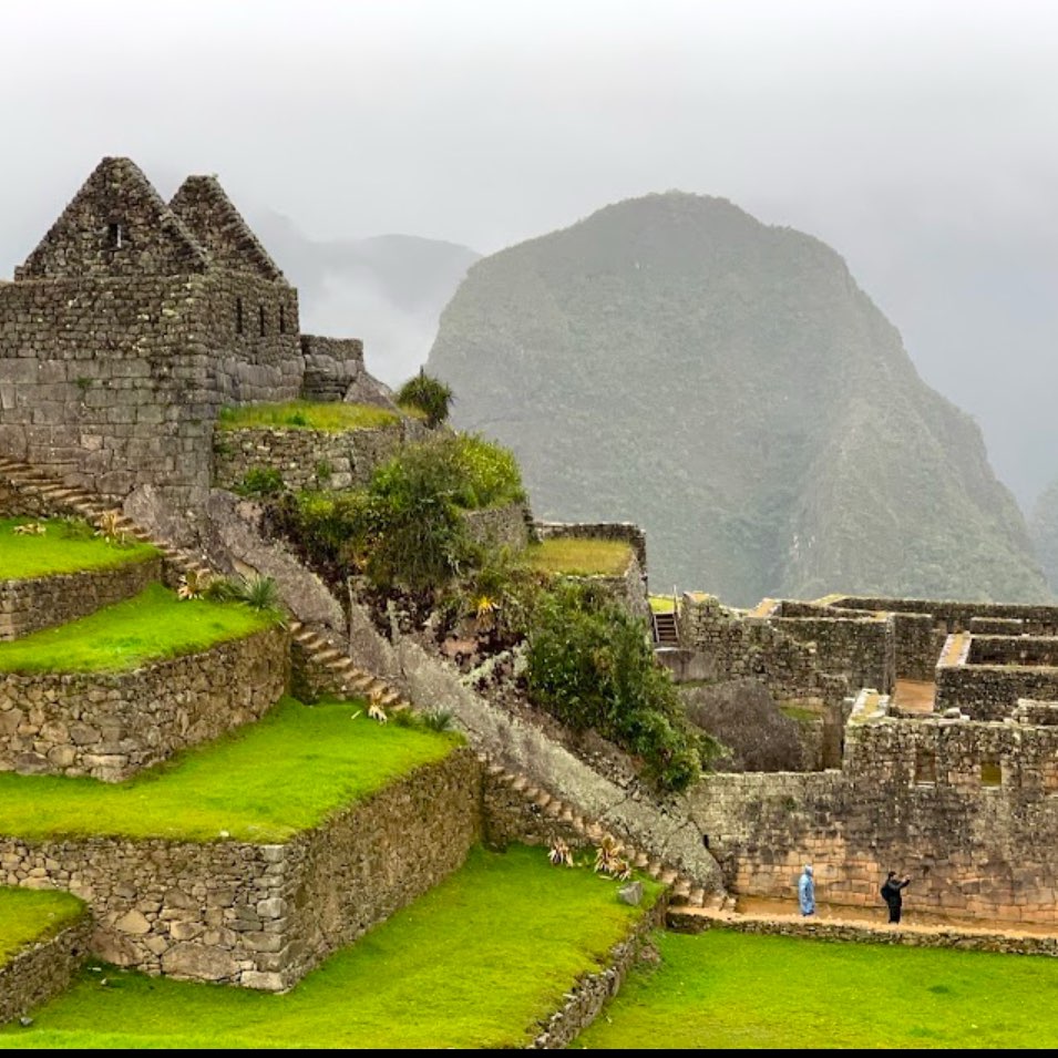 Happy Feet 10K Walkers logo