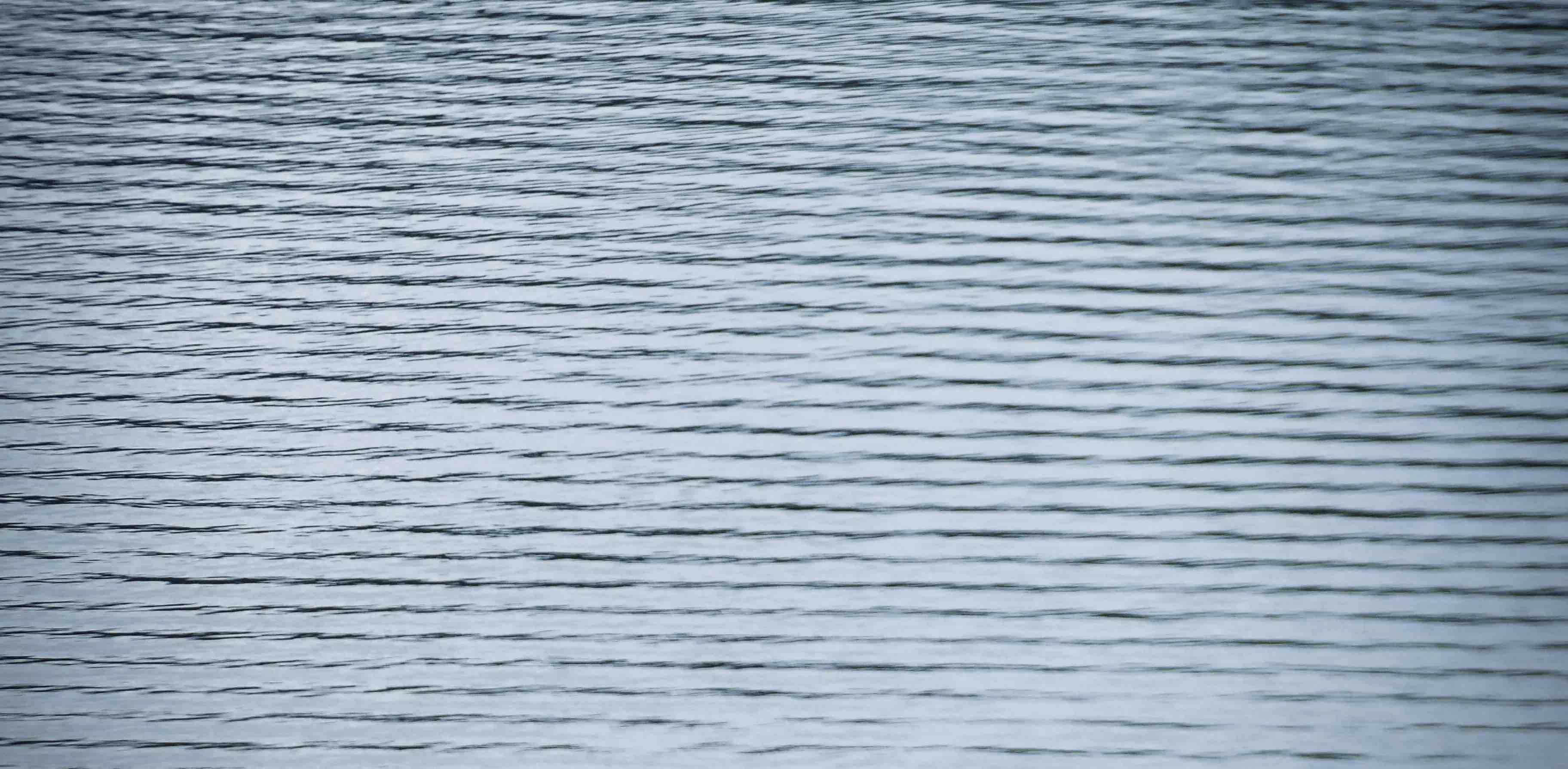 The Cruise Ship’s 🛳️ group banner