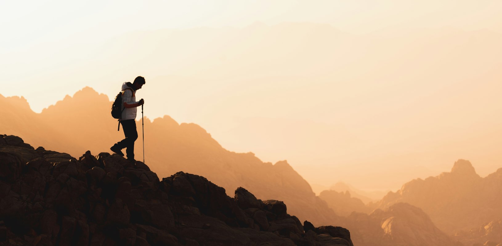 Dads That Walk banner