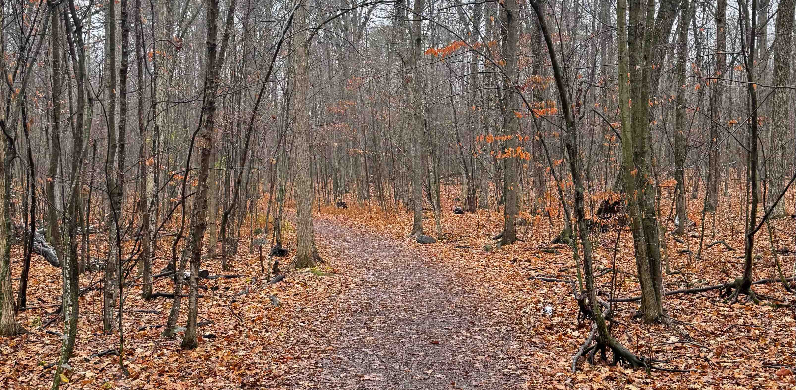 Enjoying your own company 😉 banner