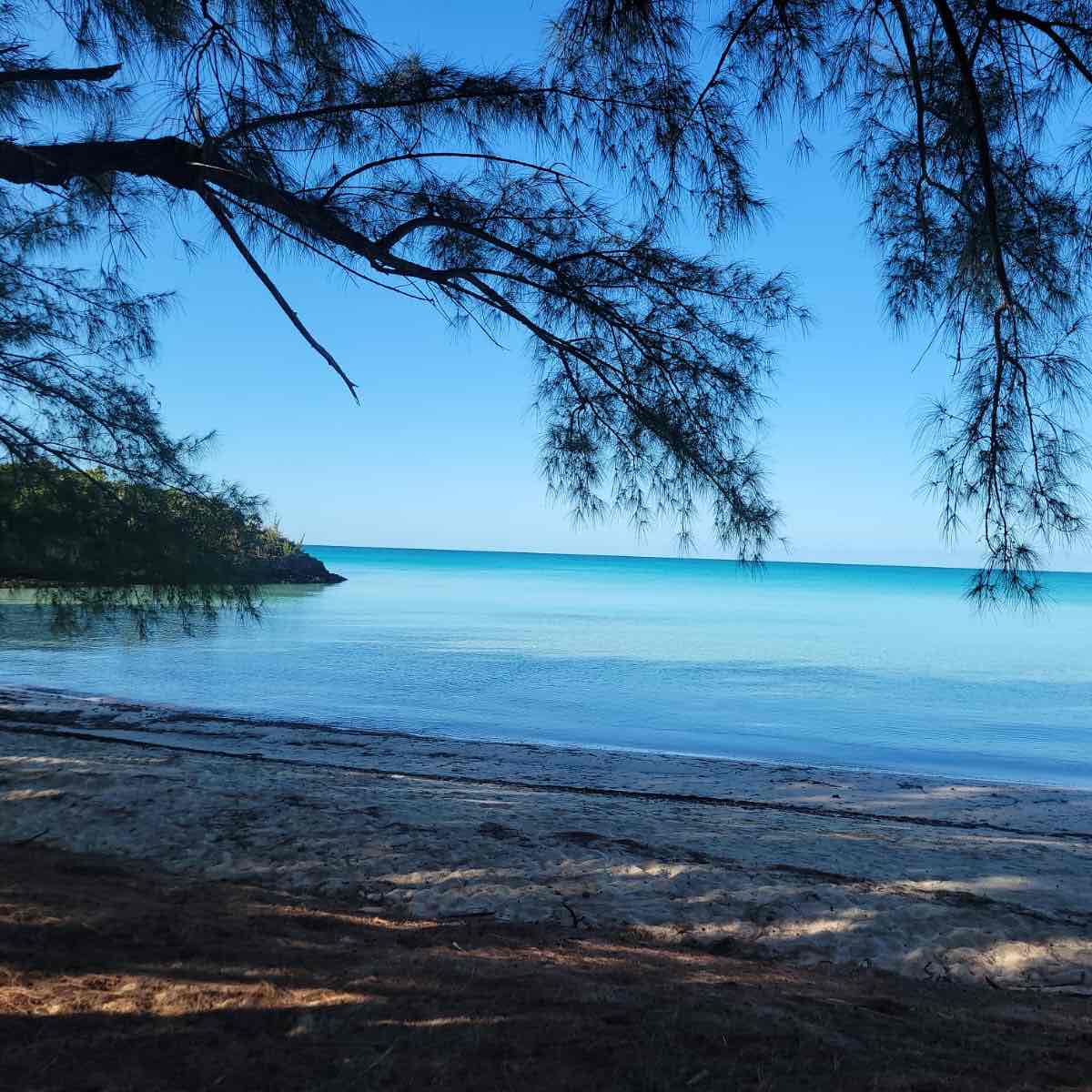 MBH Step Challenge logo