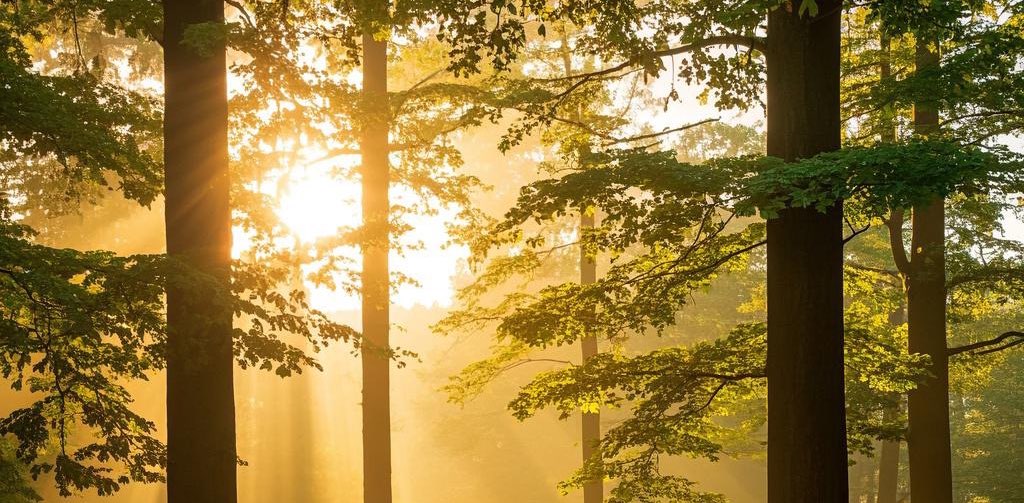 阳光炫风组 banner