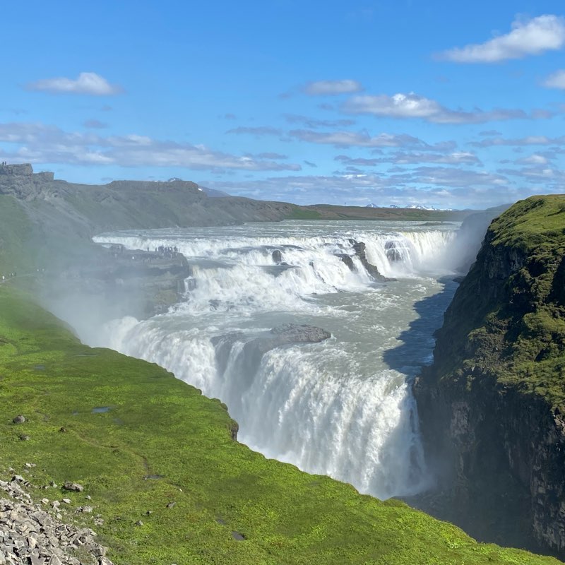 Continental Striders logo