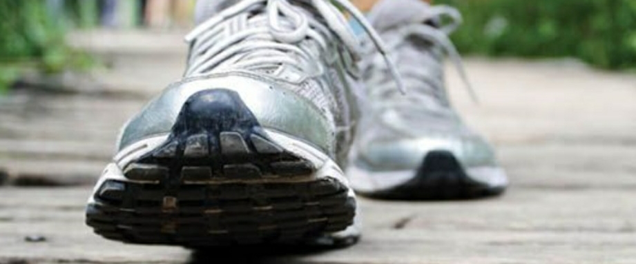 Walking with Darklady banner